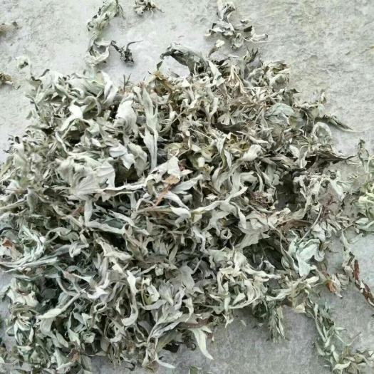 思南县 艾，苦艾