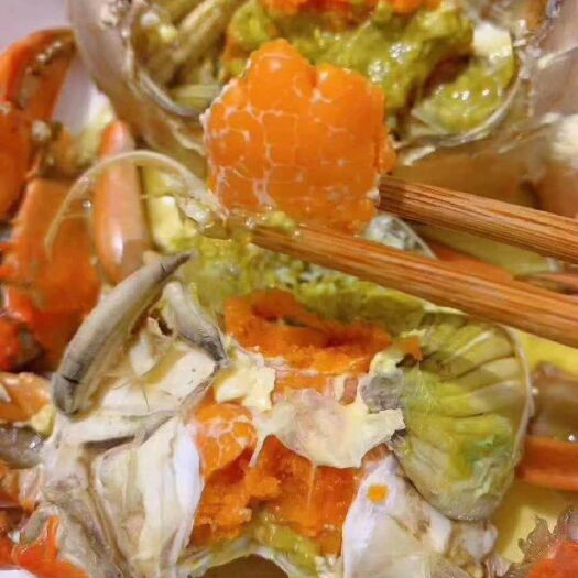 广州 青蟹批发