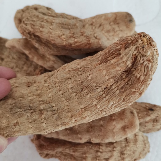 商南县秦岭深山无硫天麻，个头饱满，全干无硫熏好天麻