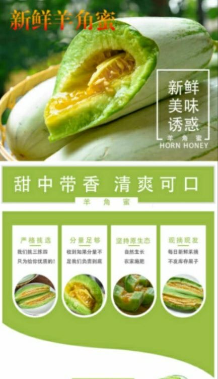 羊角蜜甜瓜 我们村集体市场的羊角蜜，还有博洋九，沙白，有想法的私聊我哦