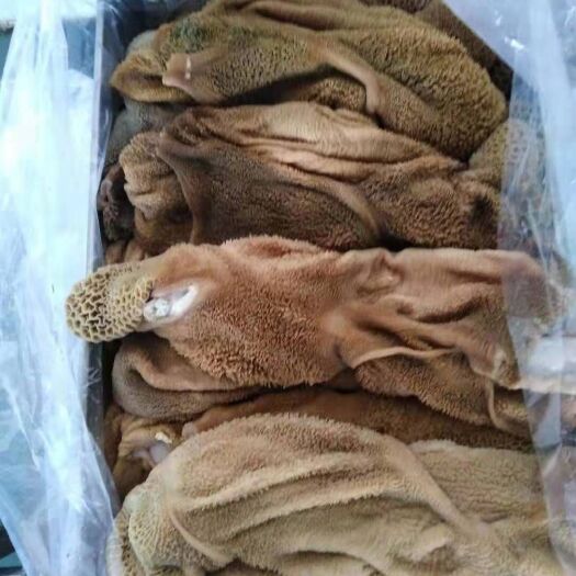 中牟县 精品熟羊毛肚
