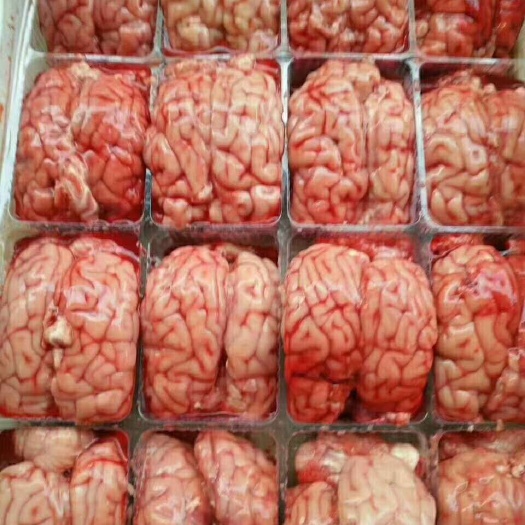 中牟县羊脑 精品羊对脑
