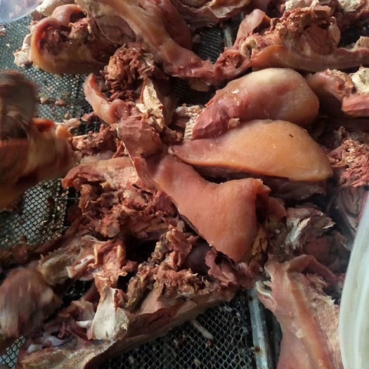 阳信县牛头 熟牛头肉 48小小时内发货 国产牛头肉