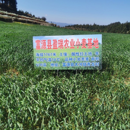 富源县 盈瑞印象挂面