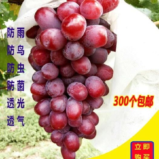怀宁县种植套袋   葡萄套袋无纺布防鸟防水专用套袋阳光玫瑰套袋网袋