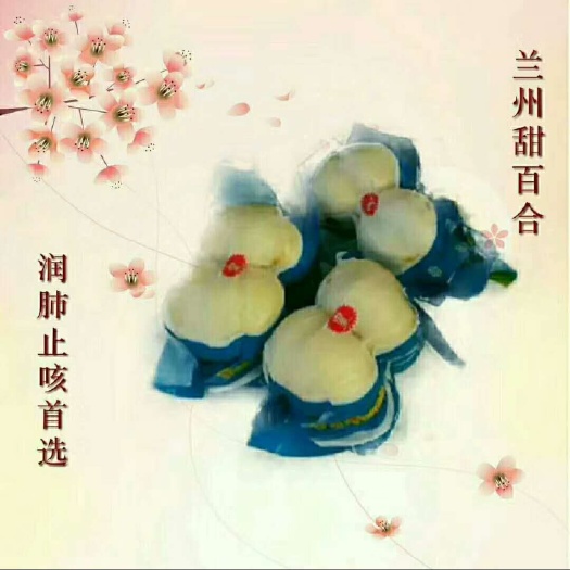 兰州 兰州百合是药食同源的百合，可清心镇定，安神等老年咳哮喘小便