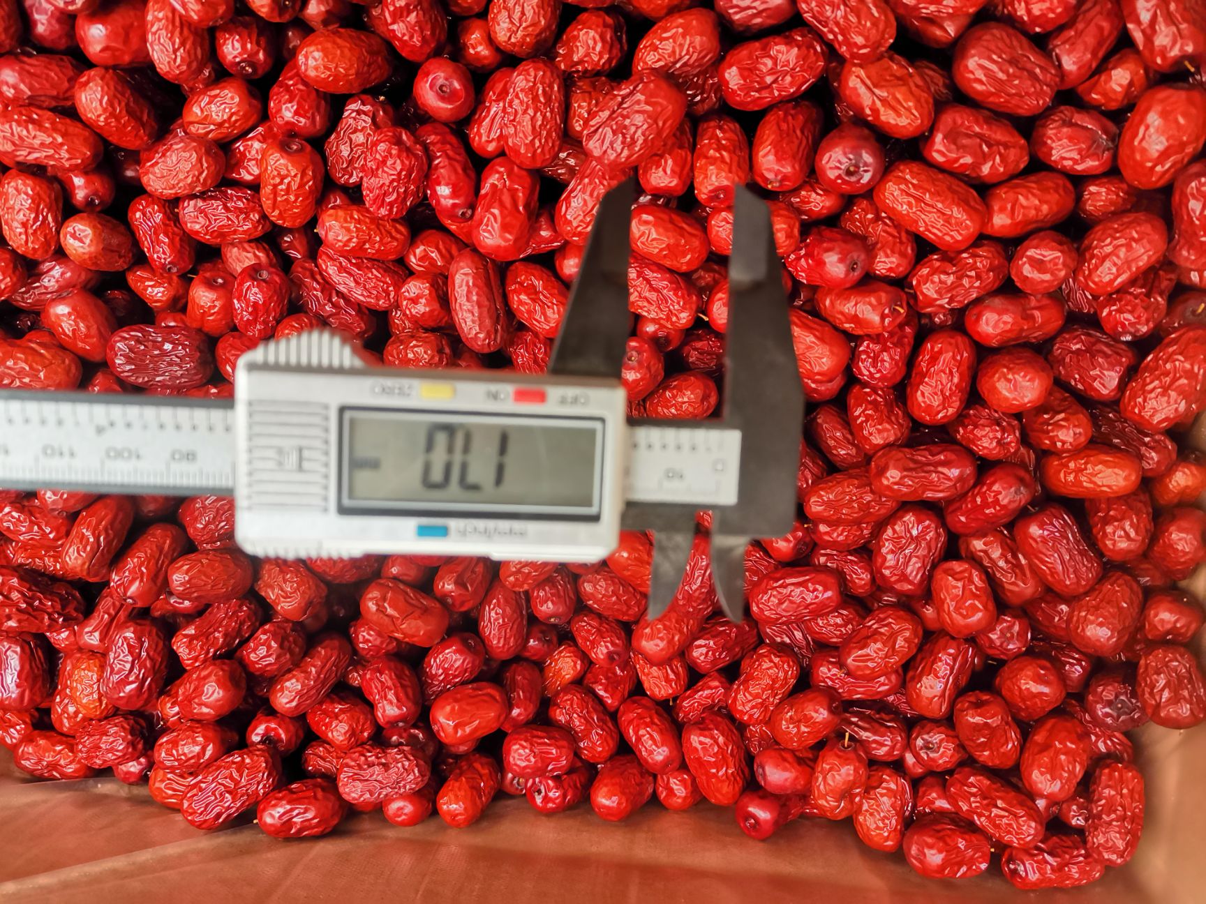 灰枣  2新货新疆特产新疆红枣煲汤部分包邮