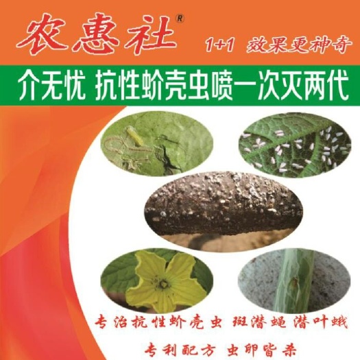 蒙阴县吡丙醚 农惠社抗性蚧壳虫专用药，一套两瓶组合兑300斤水
