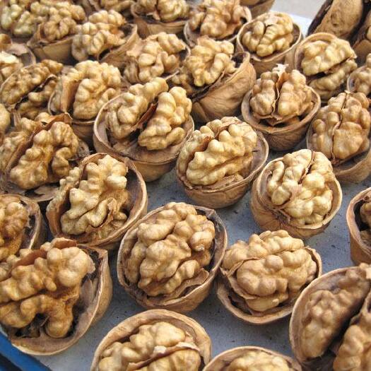 阿克陶县新疆核桃  新疆185纸皮核桃 克州阿克陶县厂家直发