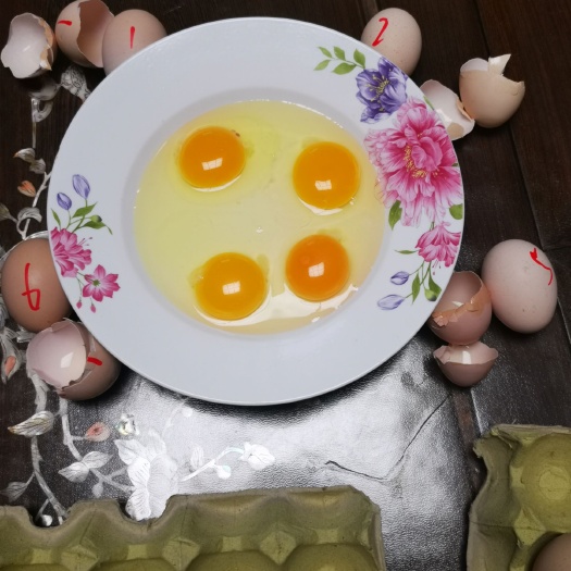 临西县 杜仲鸡蛋