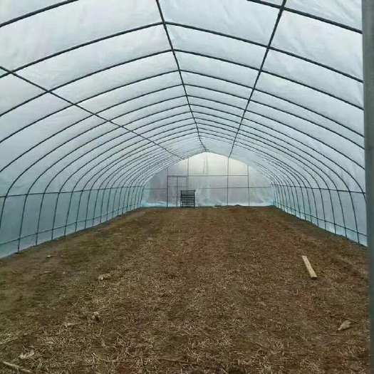 沭阳县种植大棚