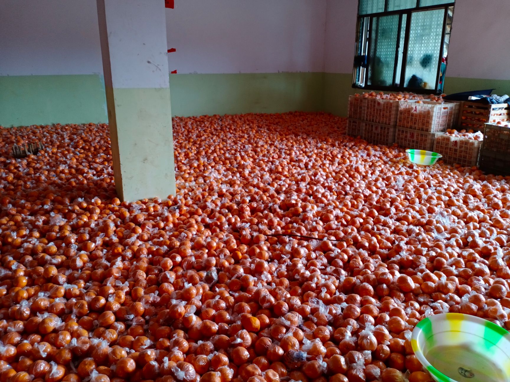 椪柑  碰柑，湘西富硒优质碰柑