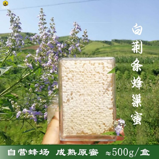 凌海市 白荆条蜂巢蜜蜂场直销量大优惠500g