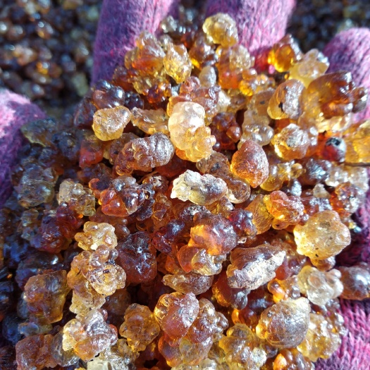 枣阳市食用桃胶 [热卖]黄红胶通货大量现货供应 产地批发一手货源 可视频看货