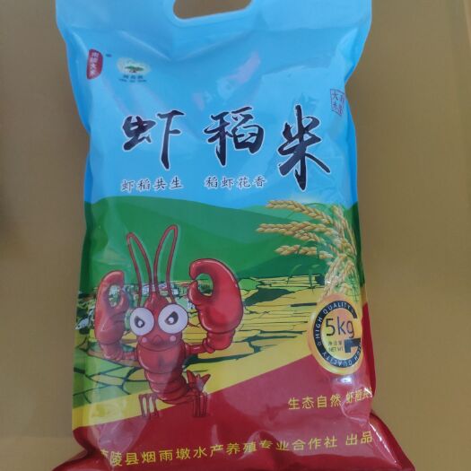 芜湖口口香大米 一等品 中稻 籼米