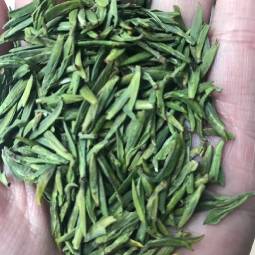 雅安竹叶青茶 蒙顶竹叶青