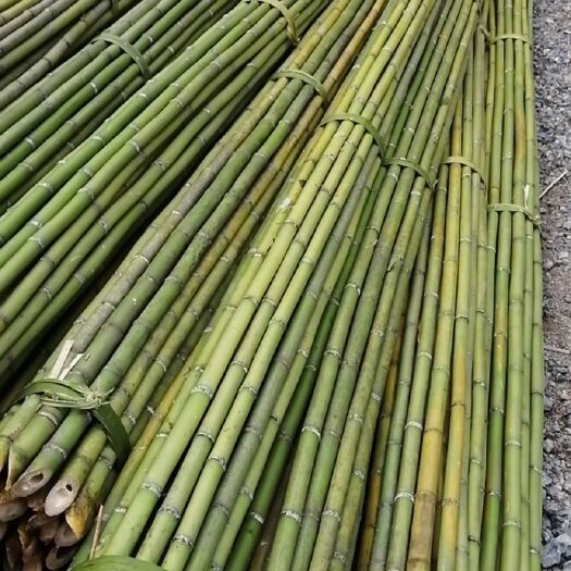 昆明金竹 菜架