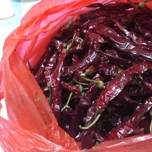 醴陵市干线椒 优质红线椒，香辣，色红。