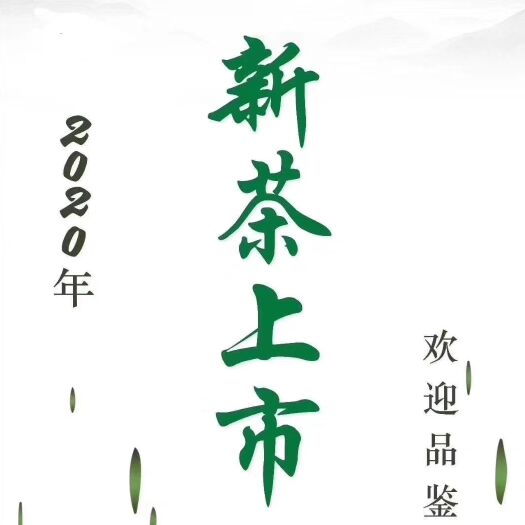 雅安蒙顶甘露 蒙顶山甘露