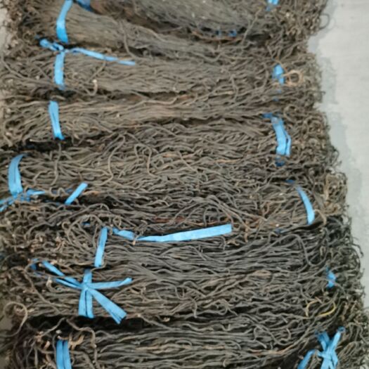 信阳 精品干豆角（干度好）