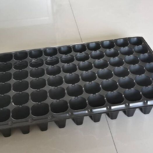莘县穴盘/育苗盘 育苗穴盘 苗盘   特殊定制加工 加深 加厚 特殊模具