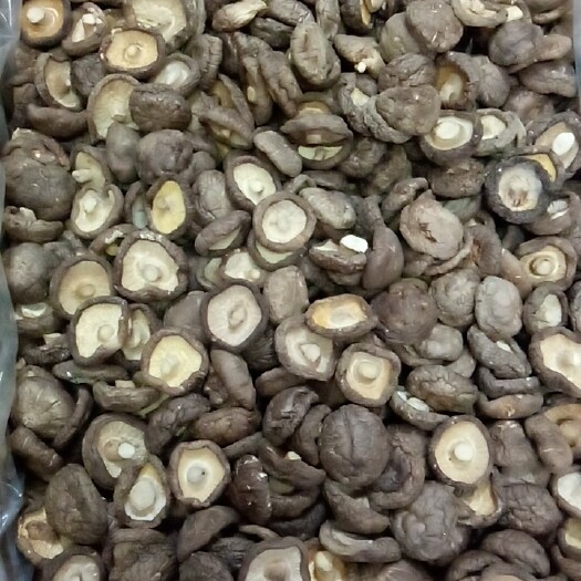 合肥椴木菇  产地直供，实体老店