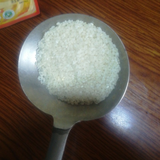 如皋市有机米 三等品 一季稻 粳米