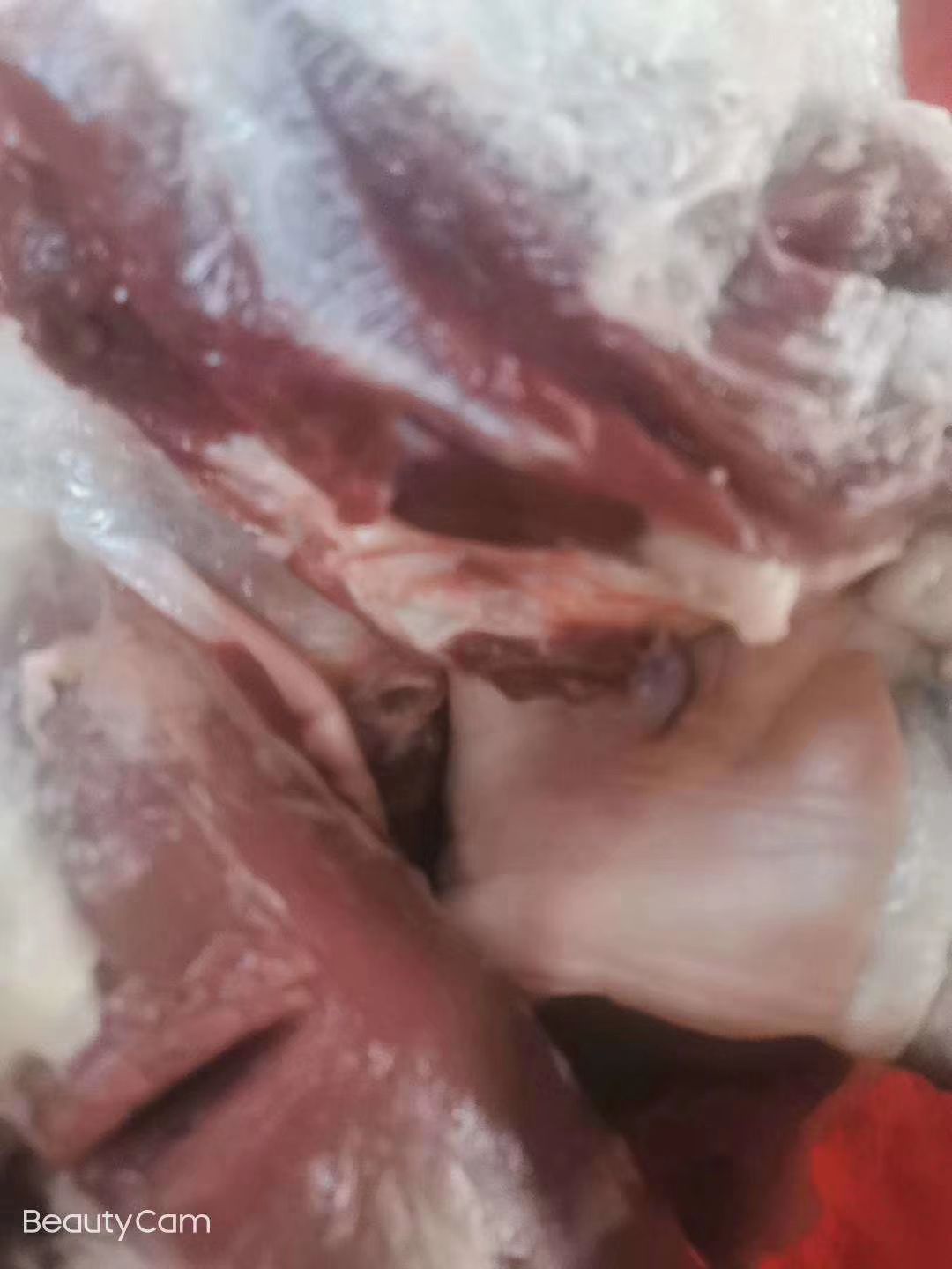  今天现杀的驴肉，色泽鲜艳