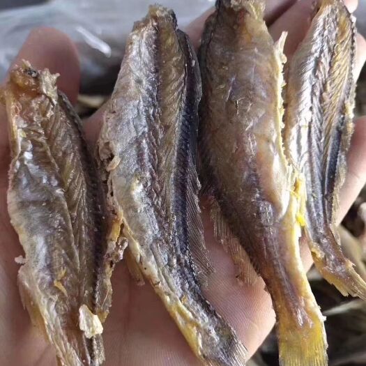 滨州 香酥黄花鱼