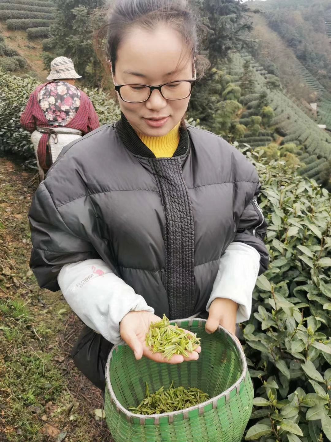 龙井茶  ，2020新茶，茶农直销，初级农产品，欢迎选购。