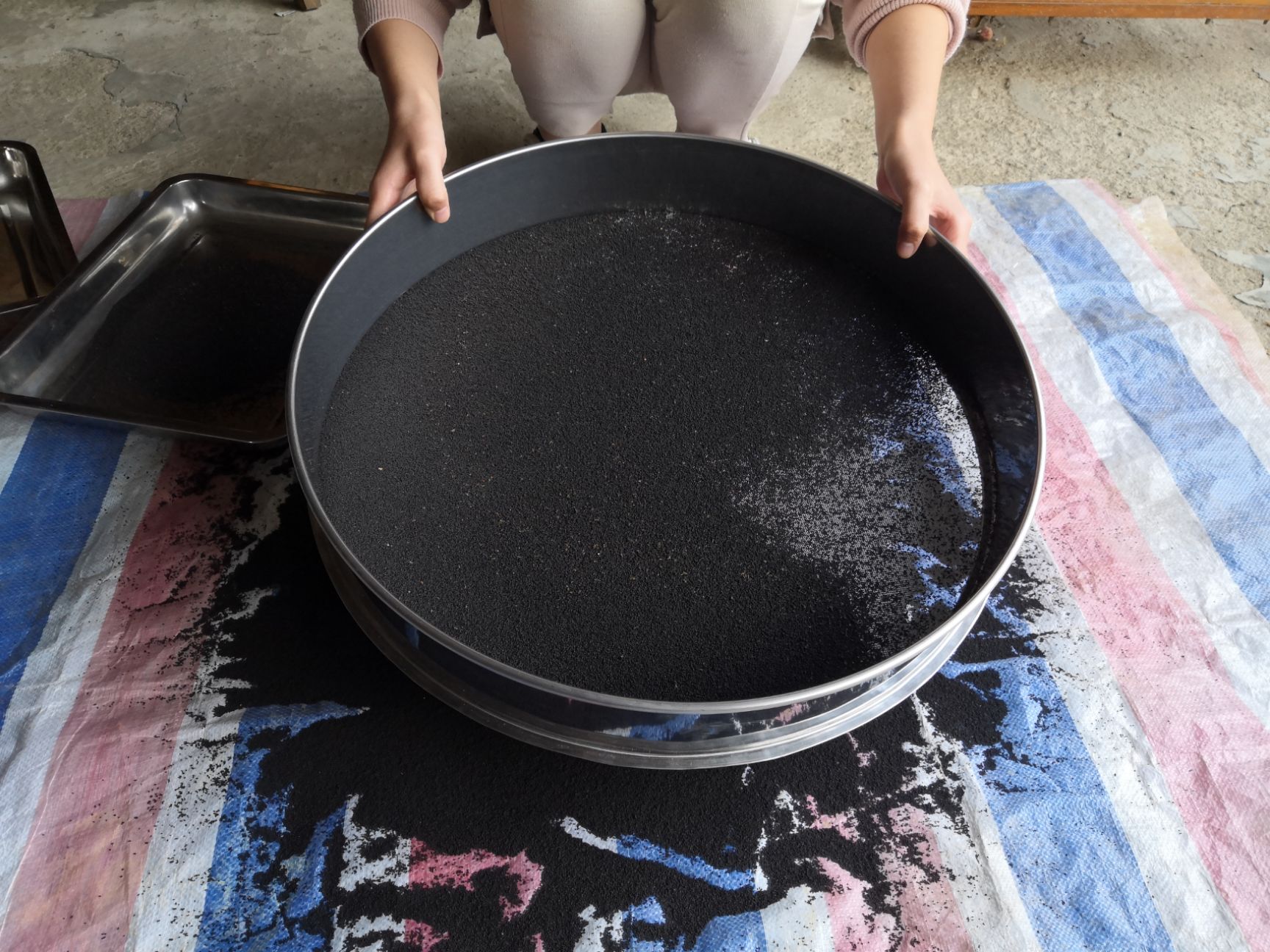 虫屎茶  养身虫茶