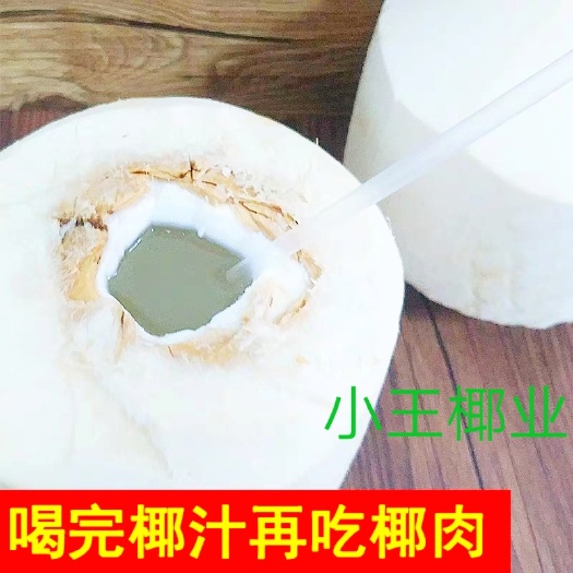 文昌市椰子 海南省文昌市文昌市 椰青