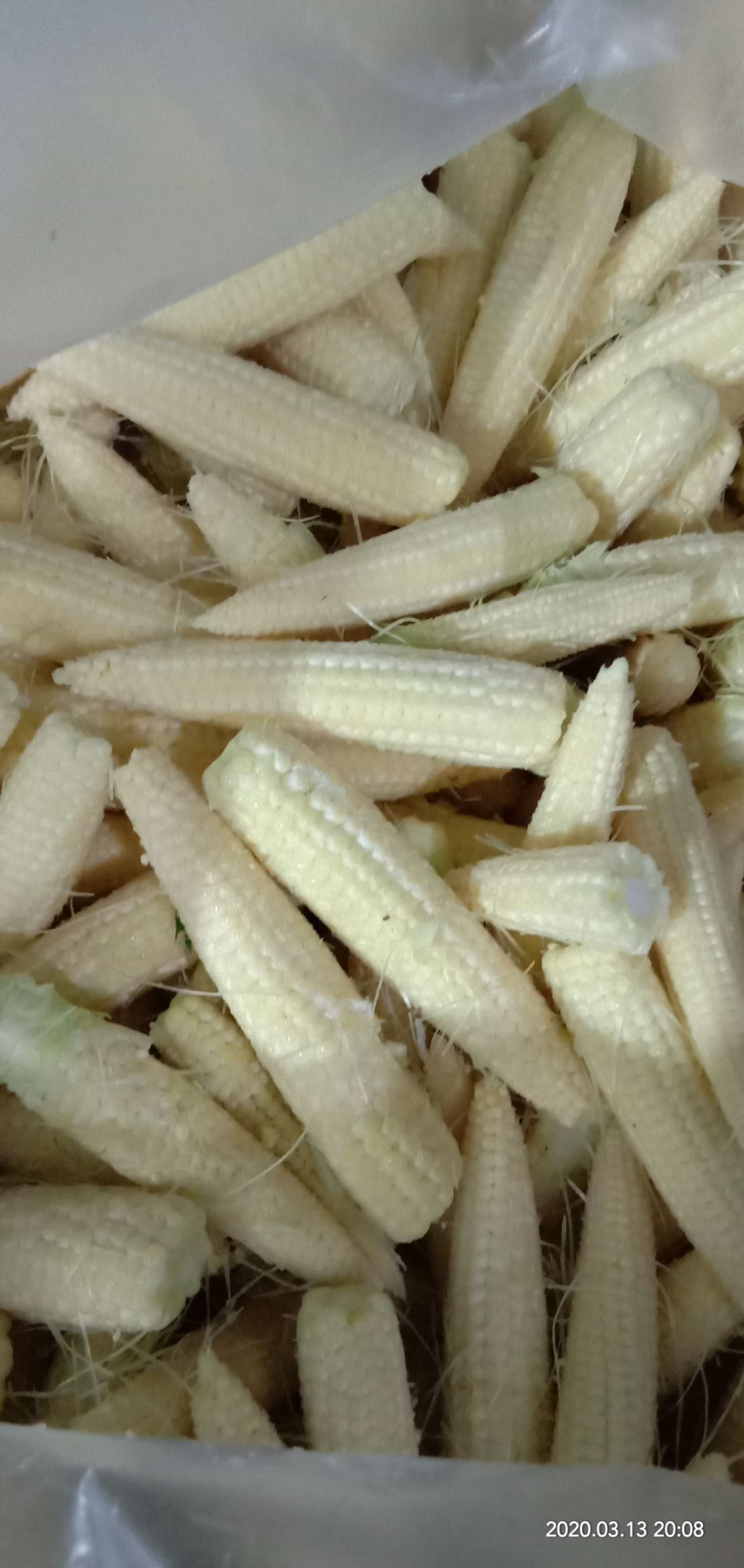 揭阳玉米笋 甜糯 去壳