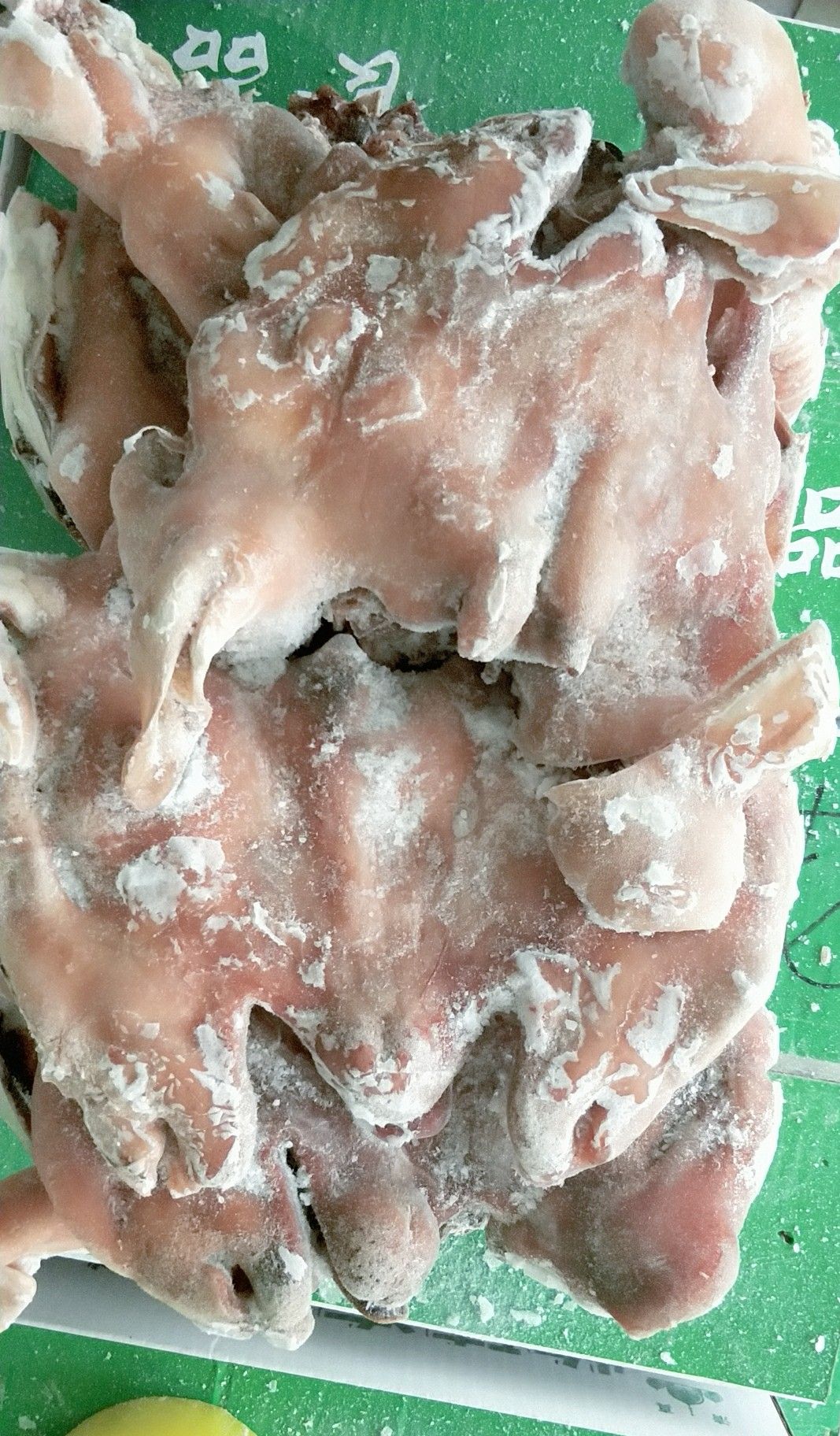 羊头 大白头
