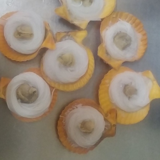 广州黄金扇贝 粉丝黄金贝