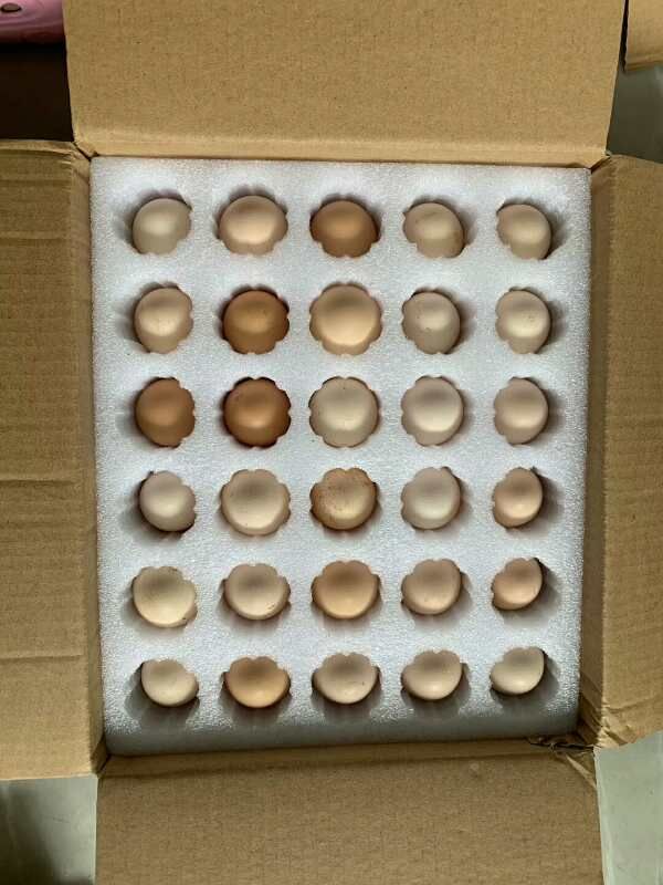 岳阳县 罗内土鸡蛋散养鸡蛋吃虫鸡土鸡蛋30枚一盒