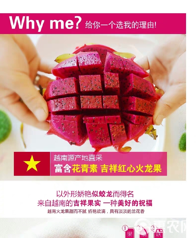 现摘红心火龙果新鲜水果热带特产5斤包邮大当季时令红肉整箱批