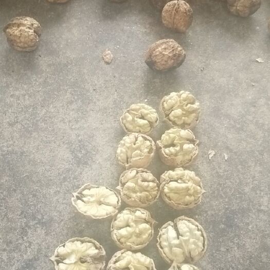 昌宁县 筛选好，囗感好，云南原色核桃，保证质量
