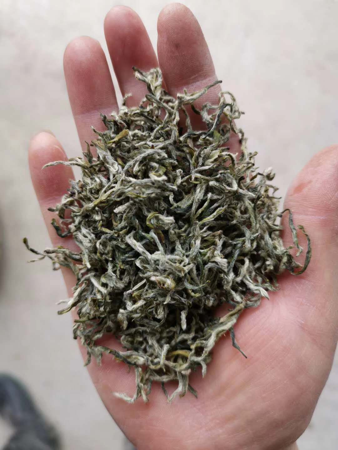  都匀毛尖 纯手工炒制