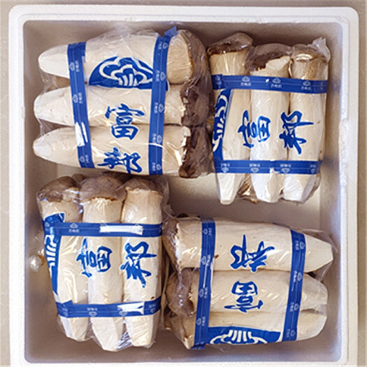 鲜杏鲍菇 鲜杏鲍菇 特级 4cm~6cm