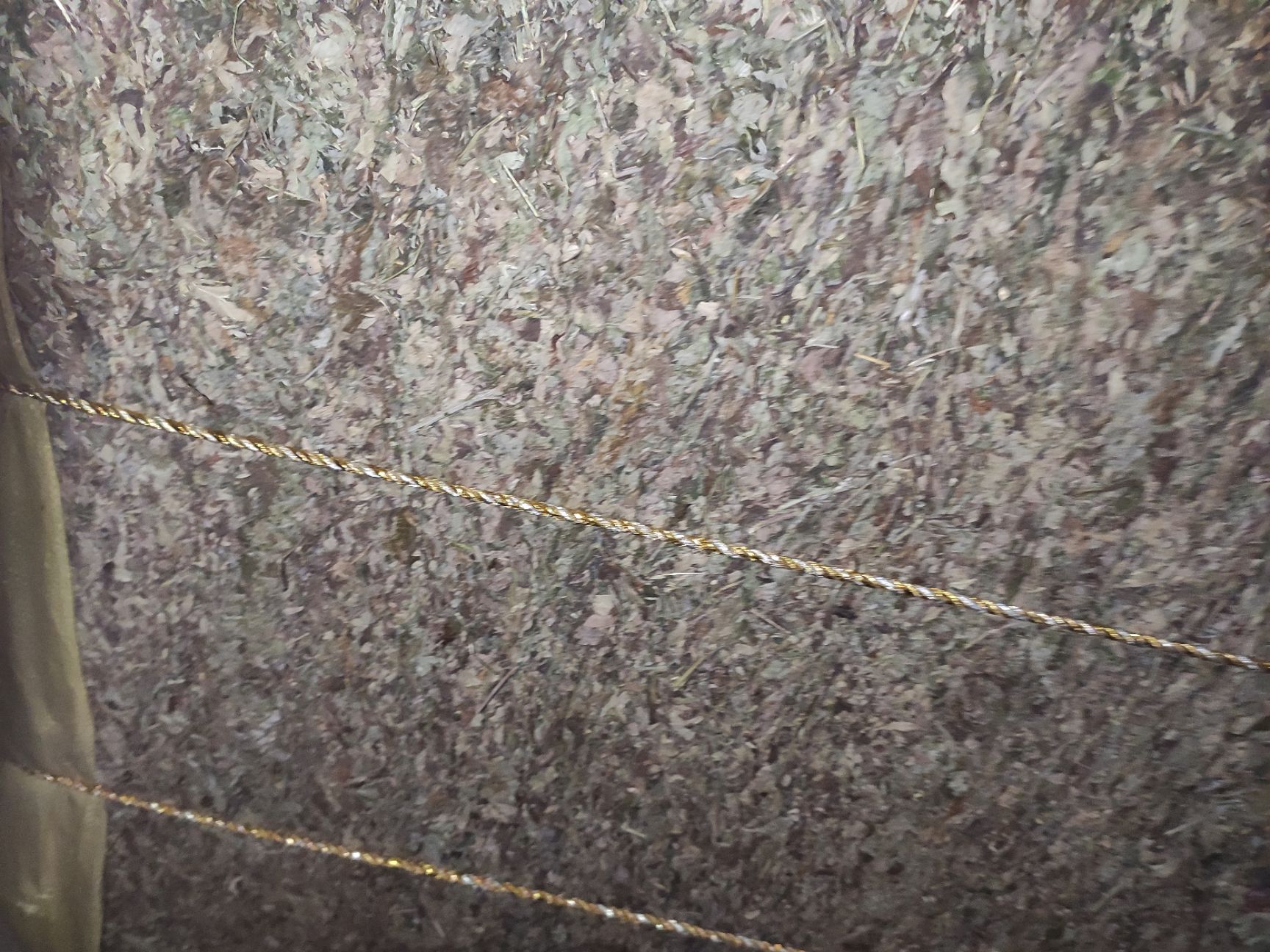 河南种植艾叶  人工撸叶