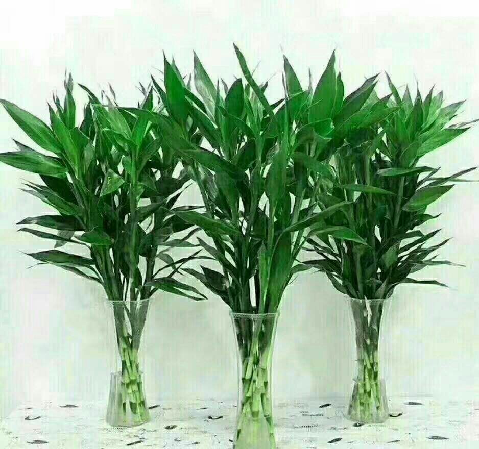 洞察海口商品市场趋势