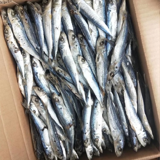 南澳县巴浪鱼干 竹叶巴浪质量干而淡我们做的产品价优，货靓诚信经营欢迎各位老板
