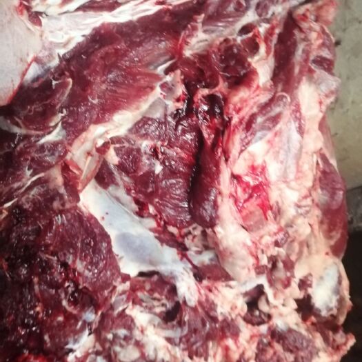 兰陵县 新鲜驴肉，现杀