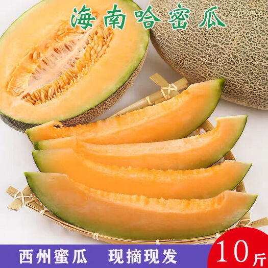 南宁海南三亚新鲜水果哈密瓜网纹瓜树熟2/5/9斤现摘现卖