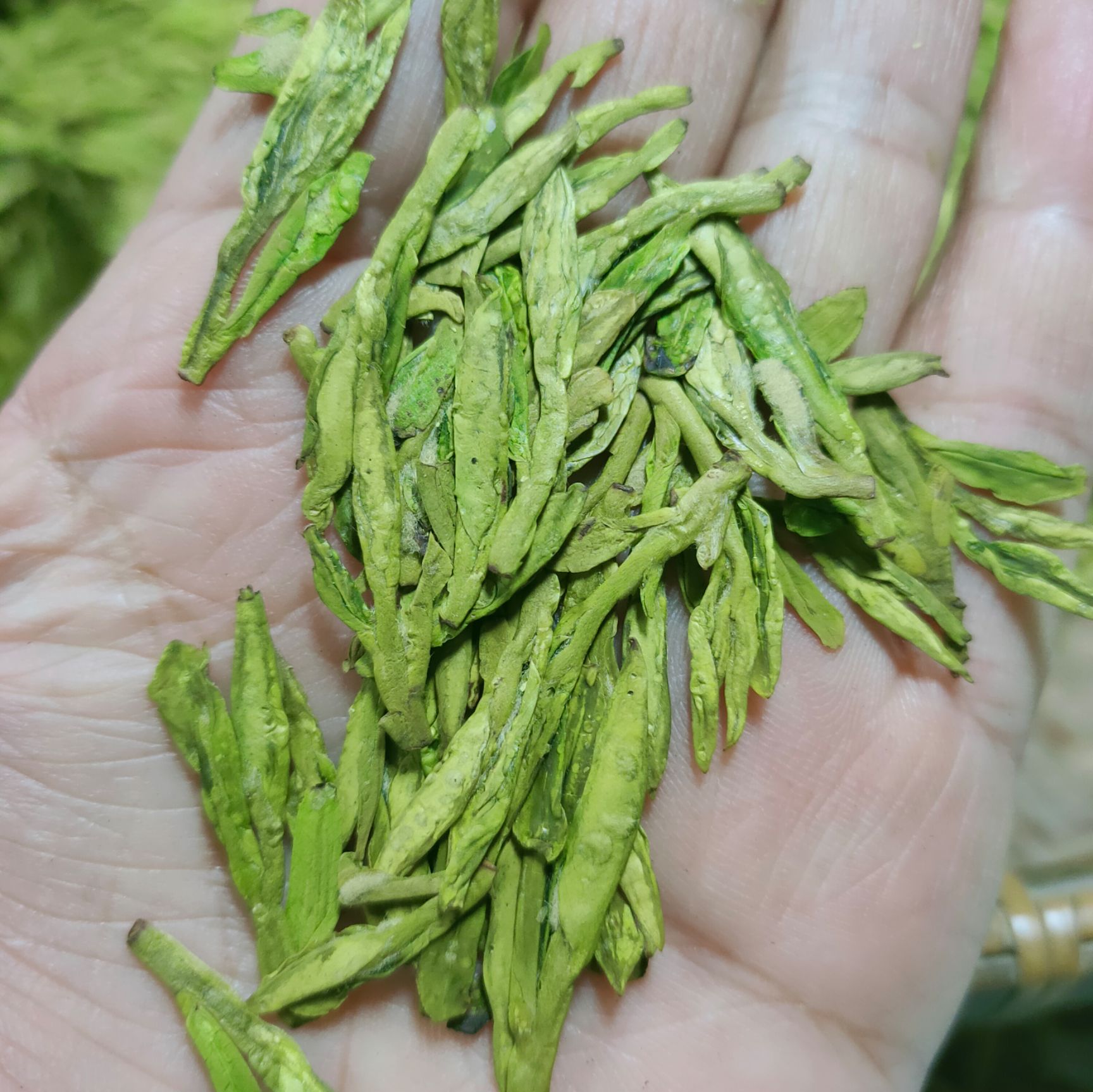 龙井茶  ，2020新茶，茶农直销，初级农产品，欢迎选购。