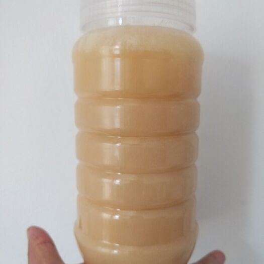 揭阳野生蜂蜜 60
