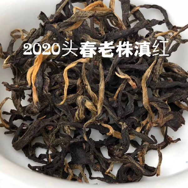 大金针 一年茶，两年药，三年宝，