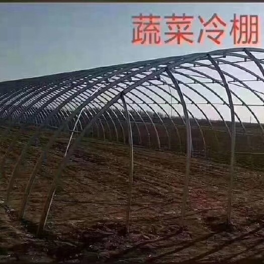 天津蔬菜大棚 优质低价大棚