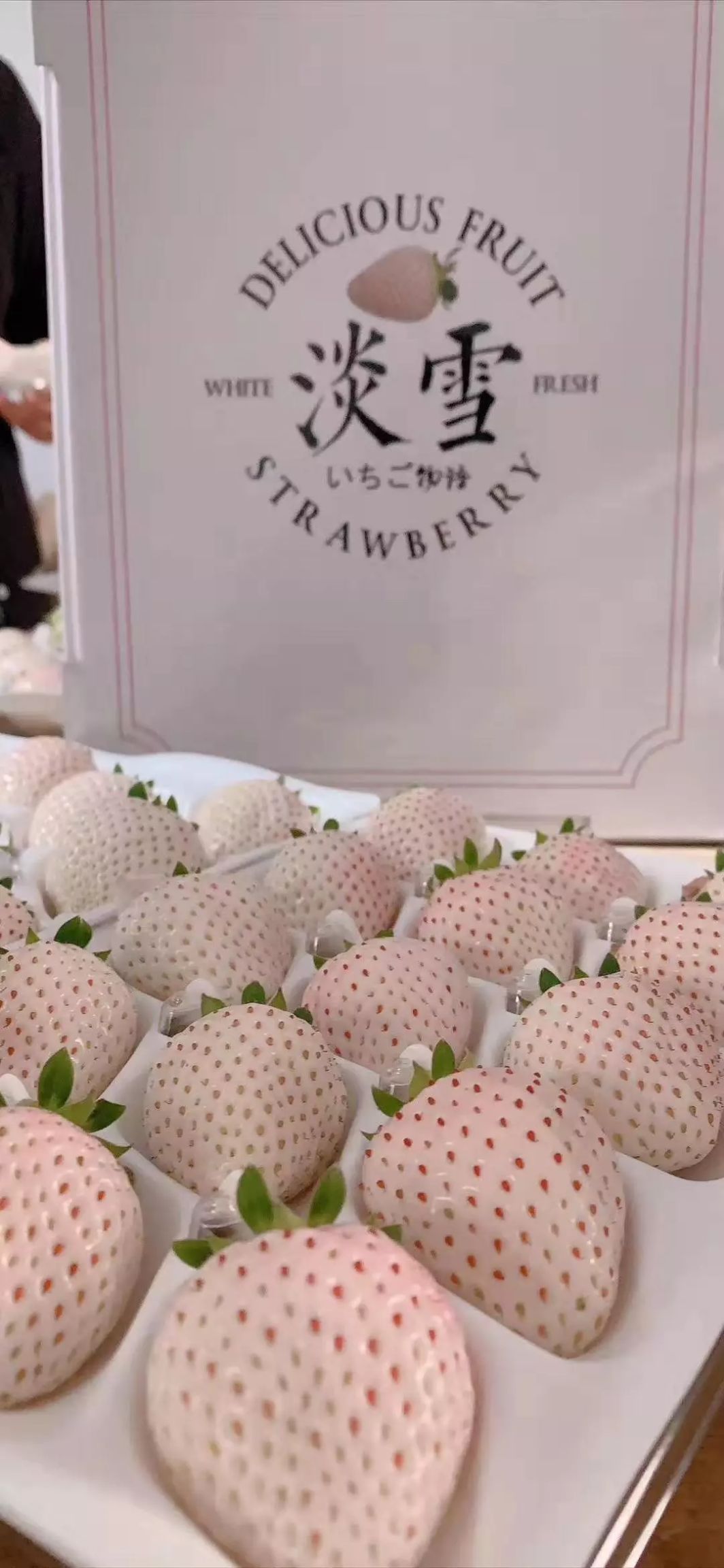  淡雪草莓2斤顺丰空运 白草莓白雪公主草莓